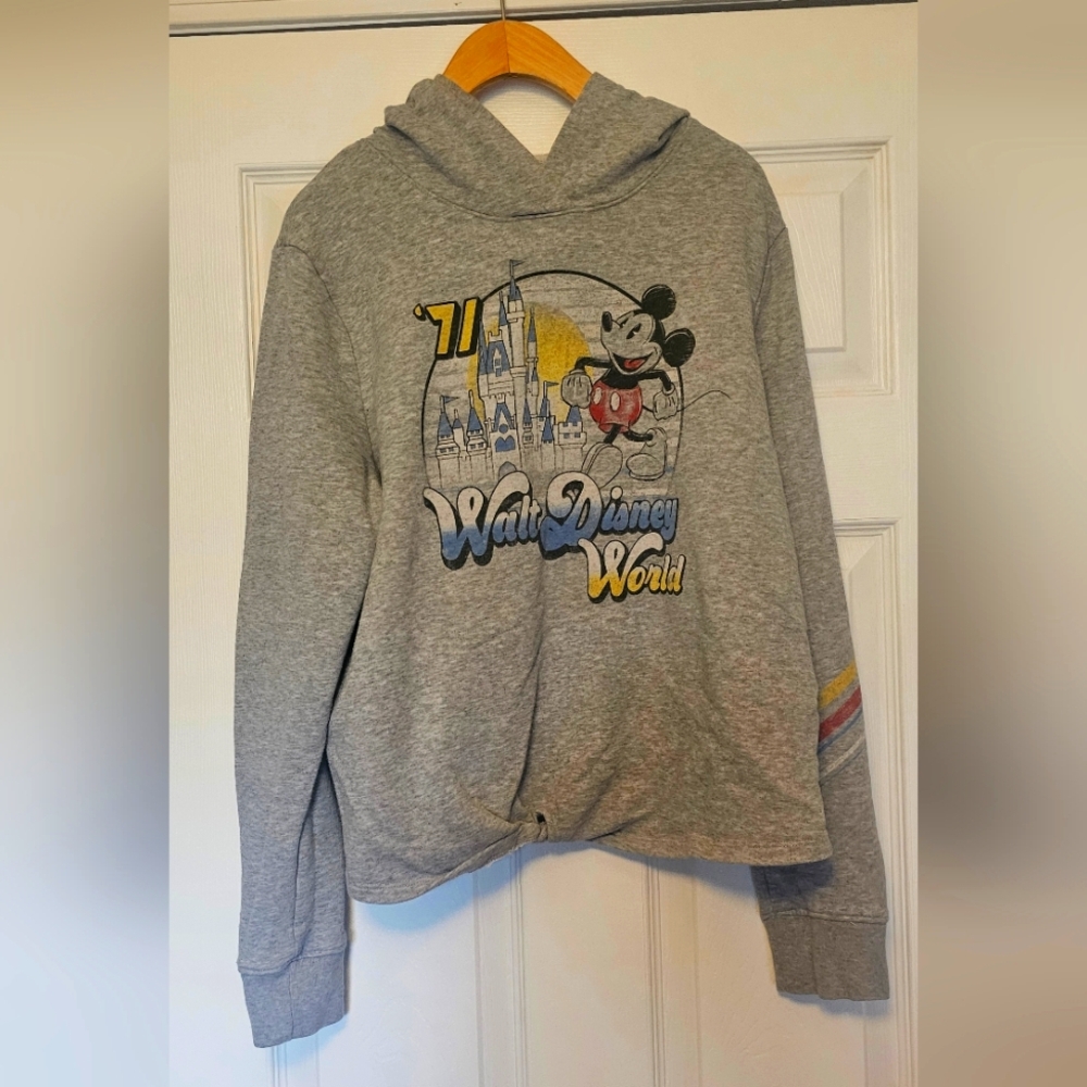 Disney Parks Sweatshirt (WDW), Authentic/Original, Size L
